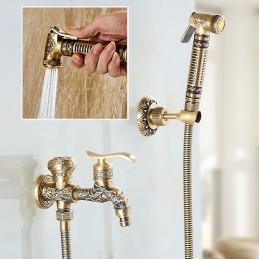 Koupelna Bidet Sprcha...